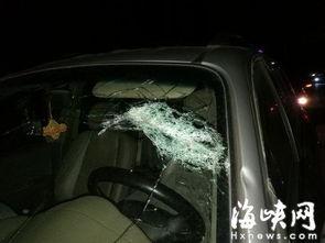 车窗抛物爆料视频下载软件,车窗抛物爆料神器下载指南